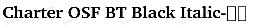 Charter OSF BT Black Italic字体转换